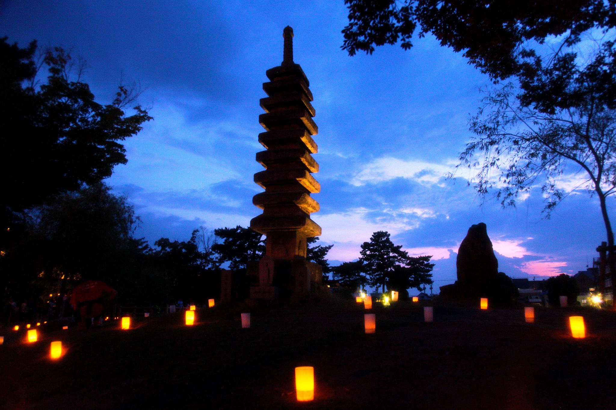 なら燈花会 (奈良公園)