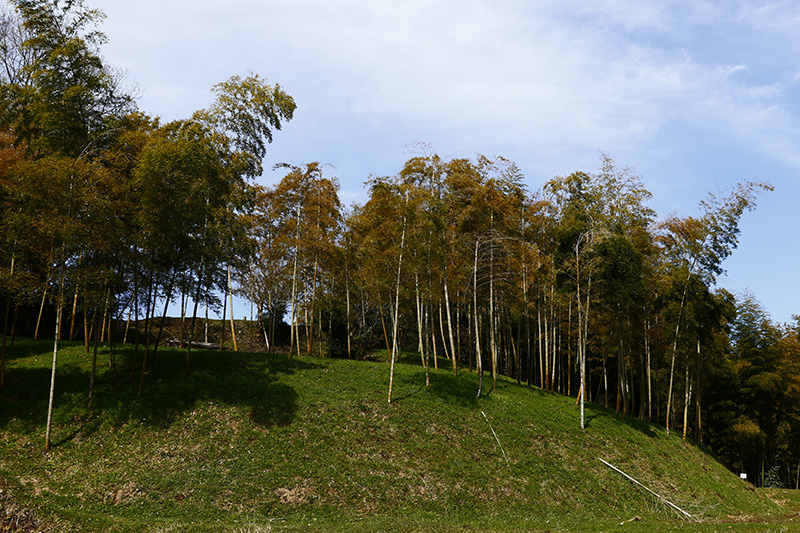 椿井大塚山古墳