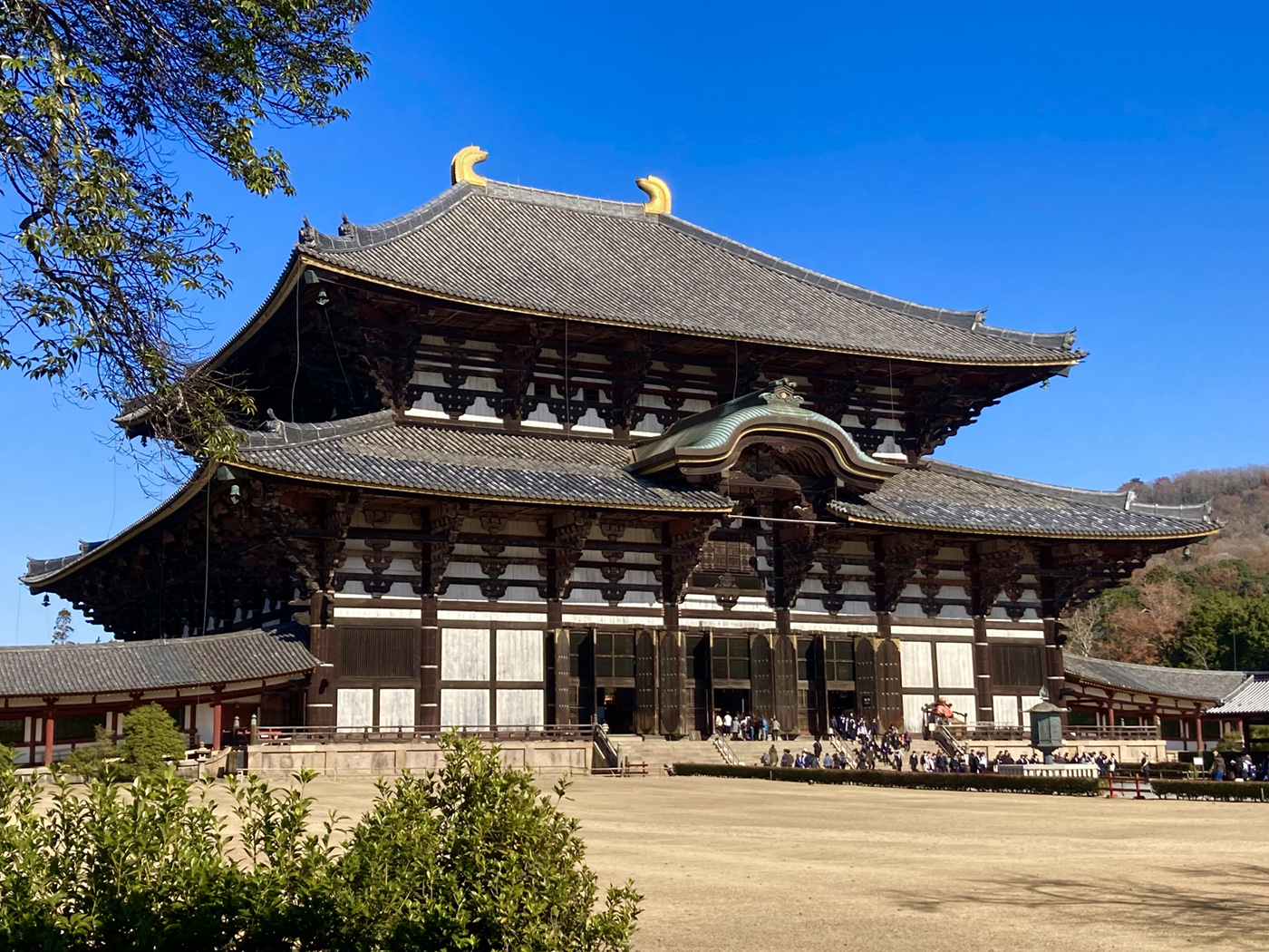 東大寺