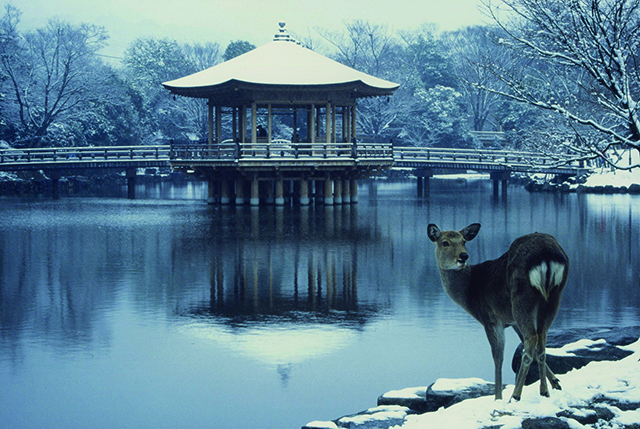 奈良公園浮見堂