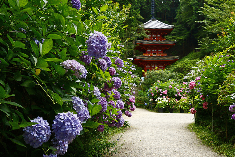 岩船寺