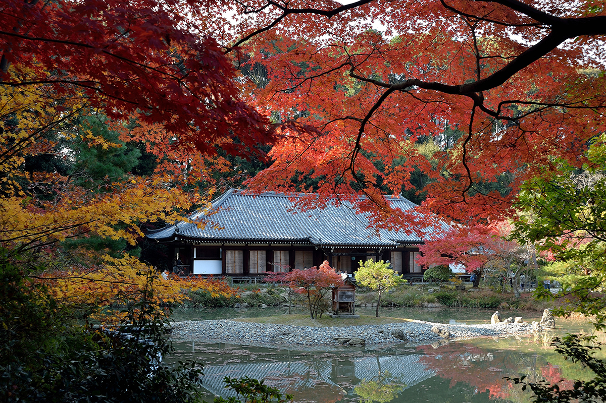 小田原山法雲院浄瑠璃寺