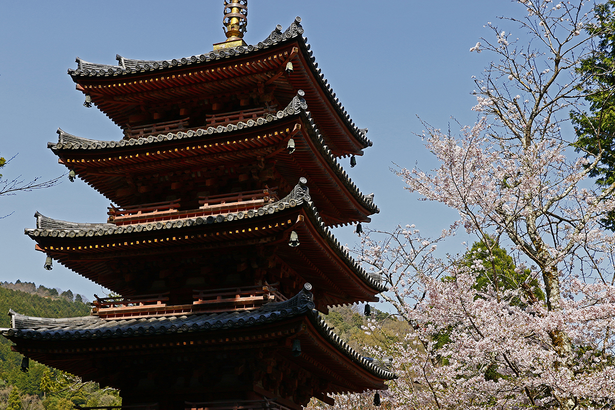 海住山寺