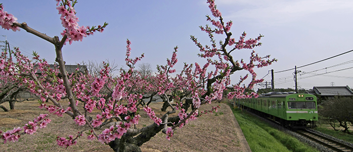JR関西本線(JR奈良線)JR奈良駅駅周辺の観光写真