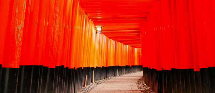 JR奈良線のJR稲荷駅周辺の観光写真