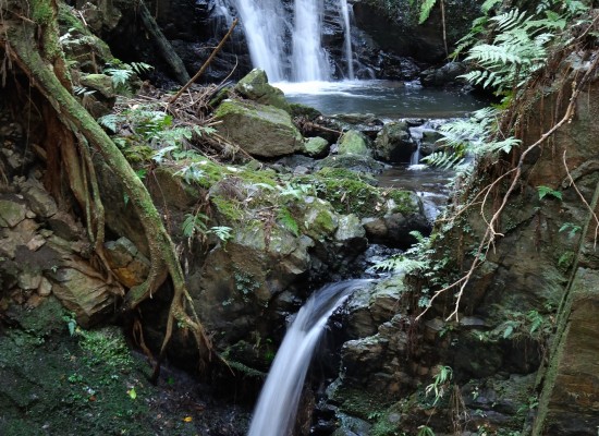 「京都の自然200選」鴨谷の滝